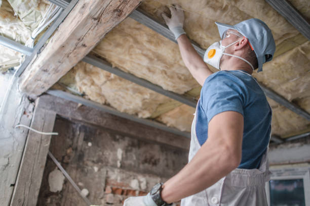 Best Insulation Contractors for Homes  in South Glens Falls, NY